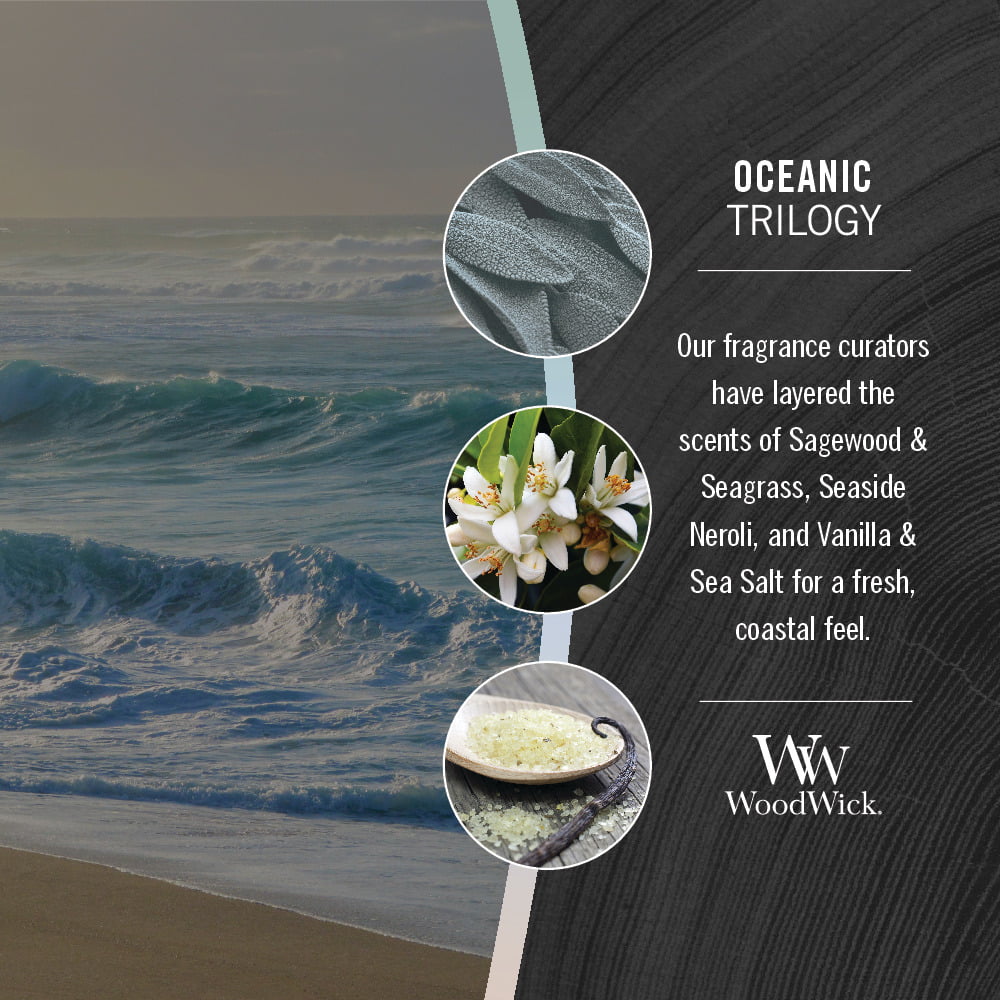 WoodWick ellipse candle sagewood & seagrass kopen? - tuincentrum