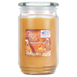 Scented Candle Single-Wick Large 20oz Jar - 32 Different Scent