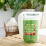 Scented Candle Single-Wick Large 20oz Jar - 32 Different Scent