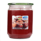 Scented Candle Single-Wick Large 20oz Jar - 32 Different Scent