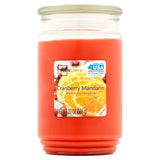 Scented Candle Single-Wick Large 20oz Jar - 32 Different Scent