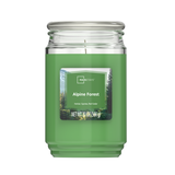 Scented Candle Single-Wick Large 20oz Jar - 32 Different Scent
