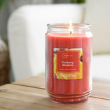 Scented Candle Single-Wick Large 20oz Jar - 32 Different Scent