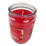 Scented Candle Single-Wick Large 20oz Jar - 32 Different Scent