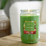 Scented Candle Single-Wick Large 20oz Jar - 32 Different Scent