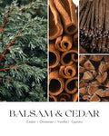 Balsam & Cedar Scented Candles