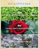 Eucalyptus Sage Soy Large Candles, 3-Wick 35oz 150H Aromatherapy Candle