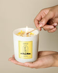 Balsam & Cedar Scented Candles