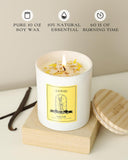 Balsam & Cedar Scented Candles