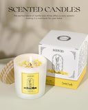 Balsam & Cedar Scented Candles