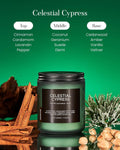 M&SENSE Summer's Night Scented Candle, 11.6oz Natural Soy Jar Candle for Home, Medium 2 Wick Candle Gifts for Men, Up to 70 Hours Burn time, Manly Candles for Bedroom
