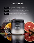 M&SENSE Summer's Night Scented Candle, 11.6oz Natural Soy Jar Candle for Home, Medium 2 Wick Candle Gifts for Men, Up to 70 Hours Burn time, Manly Candles for Bedroom
