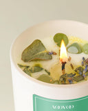 Balsam & Cedar Scented Candles