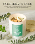 Balsam & Cedar Scented Candles