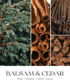 Balsam & Cedar Scented Candles