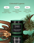M&SENSE Summer's Night Scented Candle, 11.6oz Natural Soy Jar Candle for Home, Medium 2 Wick Candle Gifts for Men, Up to 70 Hours Burn time, Manly Candles for Bedroom