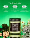 M&SENSE Summer's Night Scented Candle, 11.6oz Natural Soy Jar Candle for Home, Medium 2 Wick Candle Gifts for Men, Up to 70 Hours Burn time, Manly Candles for Bedroom