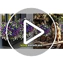Artificial Flowers for Outdoors Fake Plants - 12 (Mixed, 3 Colors Magenta Purple White) no fade