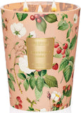 Eucalyptus Sage Soy Large Candles, 3-Wick 35oz 150H Aromatherapy Candle