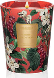Eucalyptus Sage Soy Large Candles, 3-Wick 35oz 150H Aromatherapy Candle