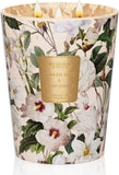 Eucalyptus Sage Soy Large Candles, 3-Wick 35oz 150H Aromatherapy Candle