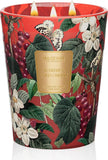 Eucalyptus Sage Soy Large Candles, 3-Wick 35oz 150H Aromatherapy Candle