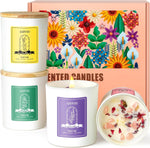 Balsam & Cedar Scented Candles