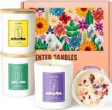 Balsam & Cedar Scented Candles