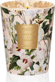 Eucalyptus Sage Soy Large Candles, 3-Wick 35oz 150H Aromatherapy Candle