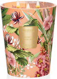 Eucalyptus Sage Soy Large Candles, 3-Wick 35oz 150H Aromatherapy Candle