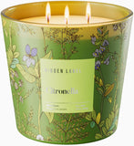 Hidden Label Jungle Oasis Scented Candle, 3 Wick Large Candles for Home, 30oz Natural Soy Candles for Home Scented,100 Hour Burn Time, Long Lasting Highly Scented Luxury Candle Gift