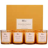 Candles Gifts- Scented Candle Set, Soy Wax Candles for Stress Relief