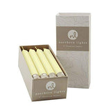 Northern Lights Candles Nlc Premium Tapers 12Pc Ivory 7 Inch