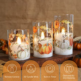 Flameless Candles LED Set of 3 Fall Autumn Ornament Warm Lights Home Decor Battery Operated Timer DIM with Remote Pumpkin Maple Leaves Painting Harvest Thanksgiving Gift