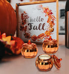 Pumpkin Shaped Candle Fall Autumn Farmhouse Decoration Halloween  Pumpkin Spice Scented Set of 3x4.5oz  Gift (Orange)