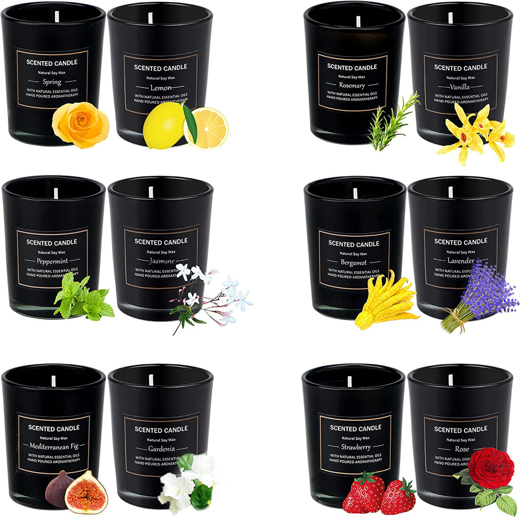 12 Pack Scented Candles Gift Set 2.5oz Aromatherapy Candle Soy – Pure  Scents Candles