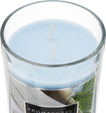 2-Wick Scented Jar Candle, Sea Salt & Vanilla, 19-Ounce, Blue