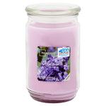 Scented Candle Single-Wick Large 20oz Jar - 32 Different Scent