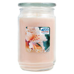 Scented Candle Single-Wick Large 20oz Jar - 32 Different Scent