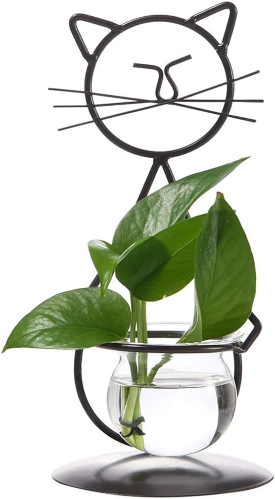 terrarium plant holder Desktop Glass Planter Vase Holder, Modern Creative Cat Plant Terrarium – Pure Scents Candles