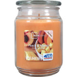 Scented Candle Single-Wick Large 20oz Jar - 32 Different Scent