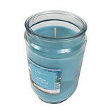 Scented Candle Single-Wick Large 20oz Jar - 32 Different Scent