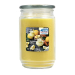 Scented Candle Single-Wick Large 20oz Jar - 32 Different Scent