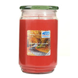 Scented Candle Single-Wick Large 20oz Jar - 32 Different Scent